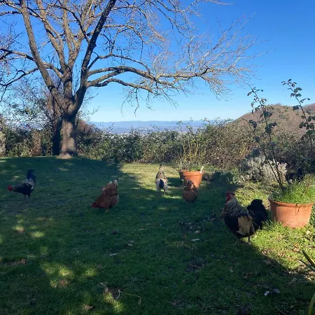 Farm stay Palareta *