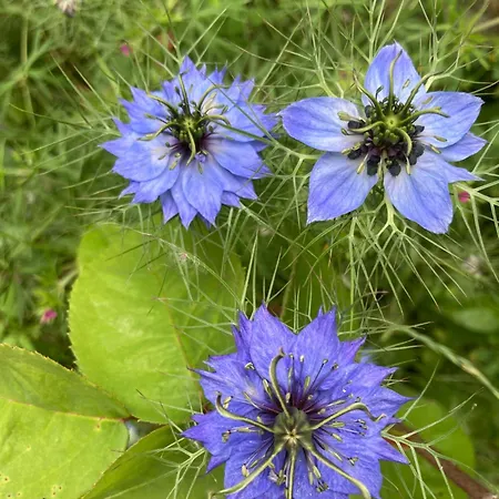 Palareta בית חווה מונטה קטיני ואל די צ'צ'ינה