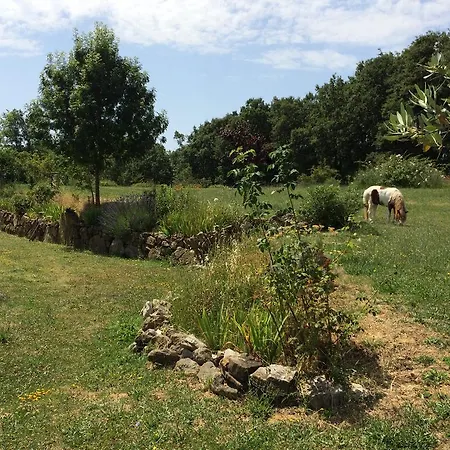 Palareta Farm stay *