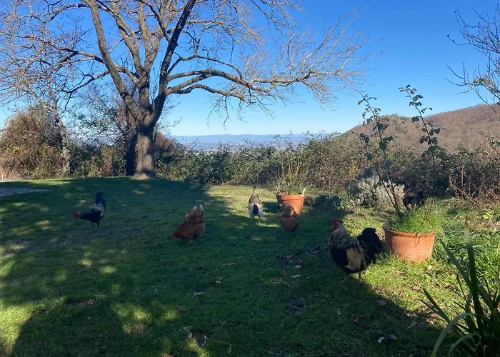 Κατάλυμα σε φάρμα Palareta *