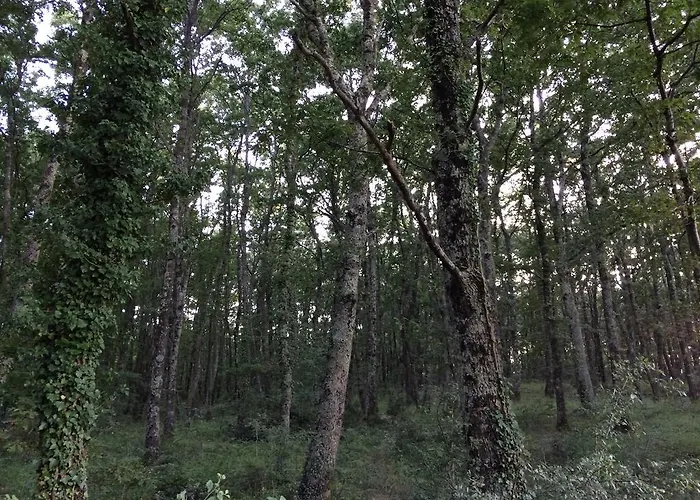 Κατάλυμα σε φάρμα Palareta *