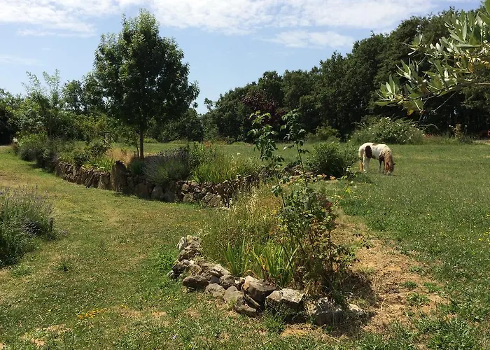 Palareta Κατάλυμα σε φάρμα *