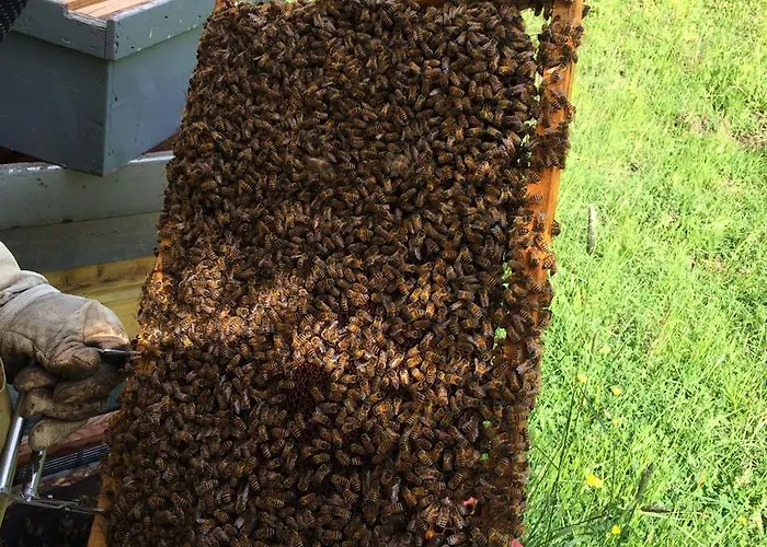 Palareta Montecatini Val di Cecina