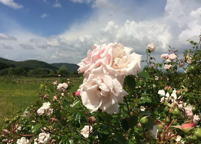 Palareta Κατάλυμα σε φάρμα *