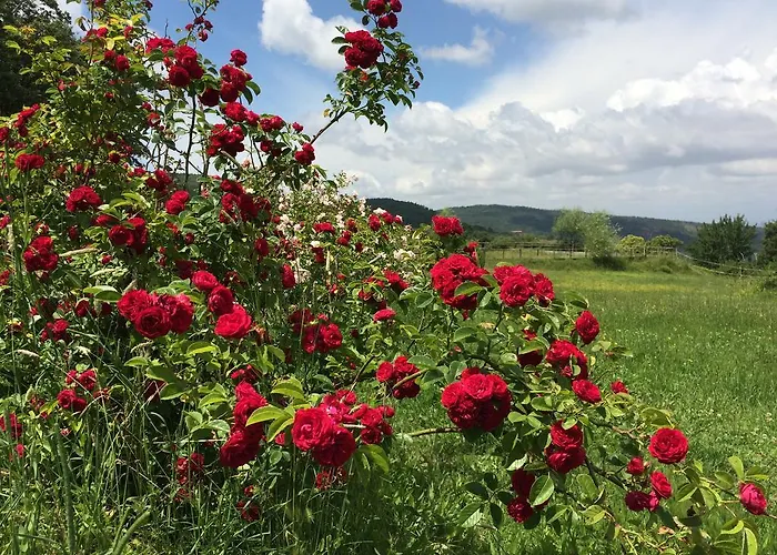 Κατάλυμα σε φάρμα Palareta Montecatini Val di Cecina