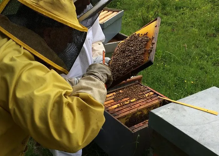Palareta Κατάλυμα σε φάρμα Montecatini Val di Cecina
