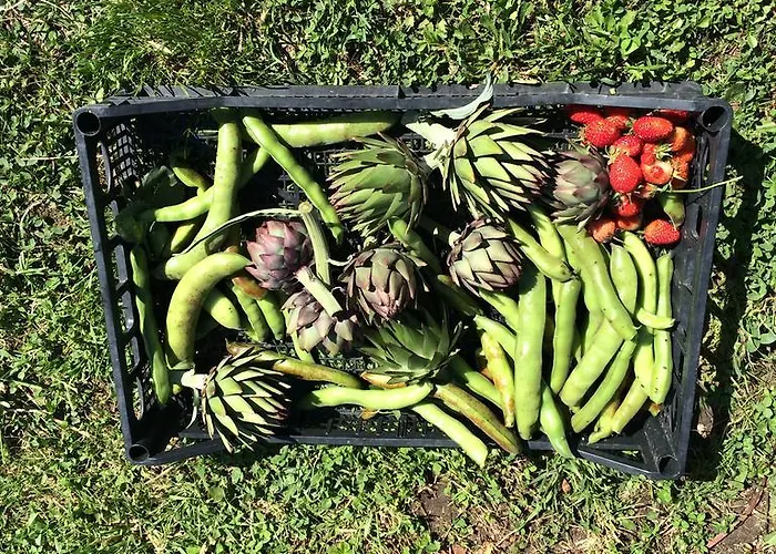 Κατάλυμα σε φάρμα Palareta *